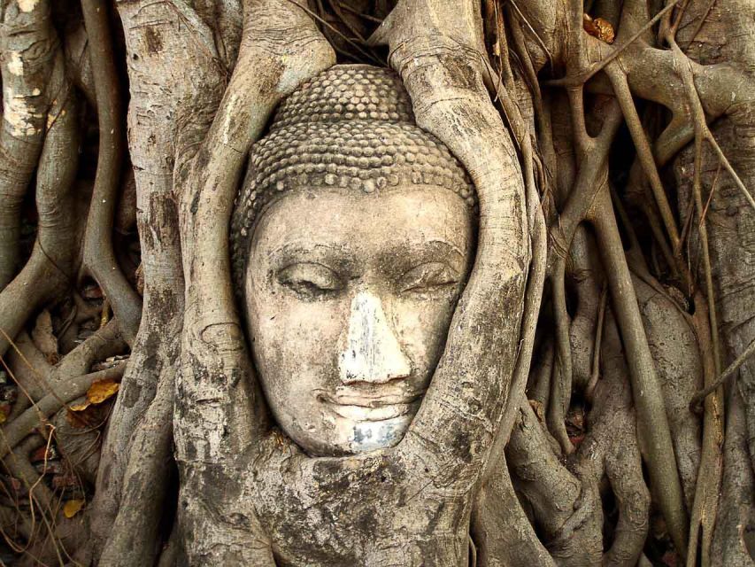 Die unglaubliche Ayutthaya Antike Tempel Tour | GetYourGuide