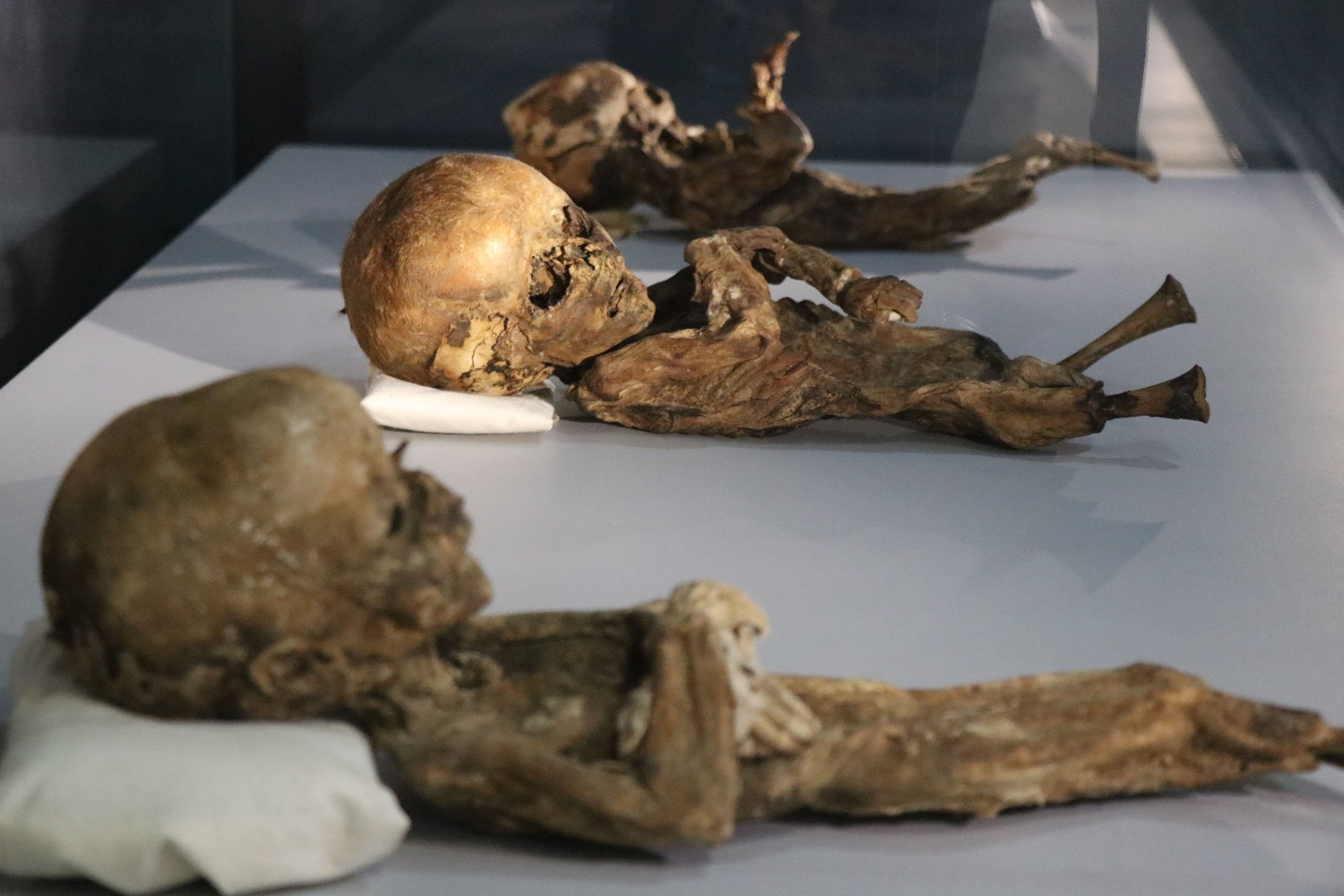 Cats and babies: Thousand-year-old mummies in Turkey's Aksaray | Daily Sabah