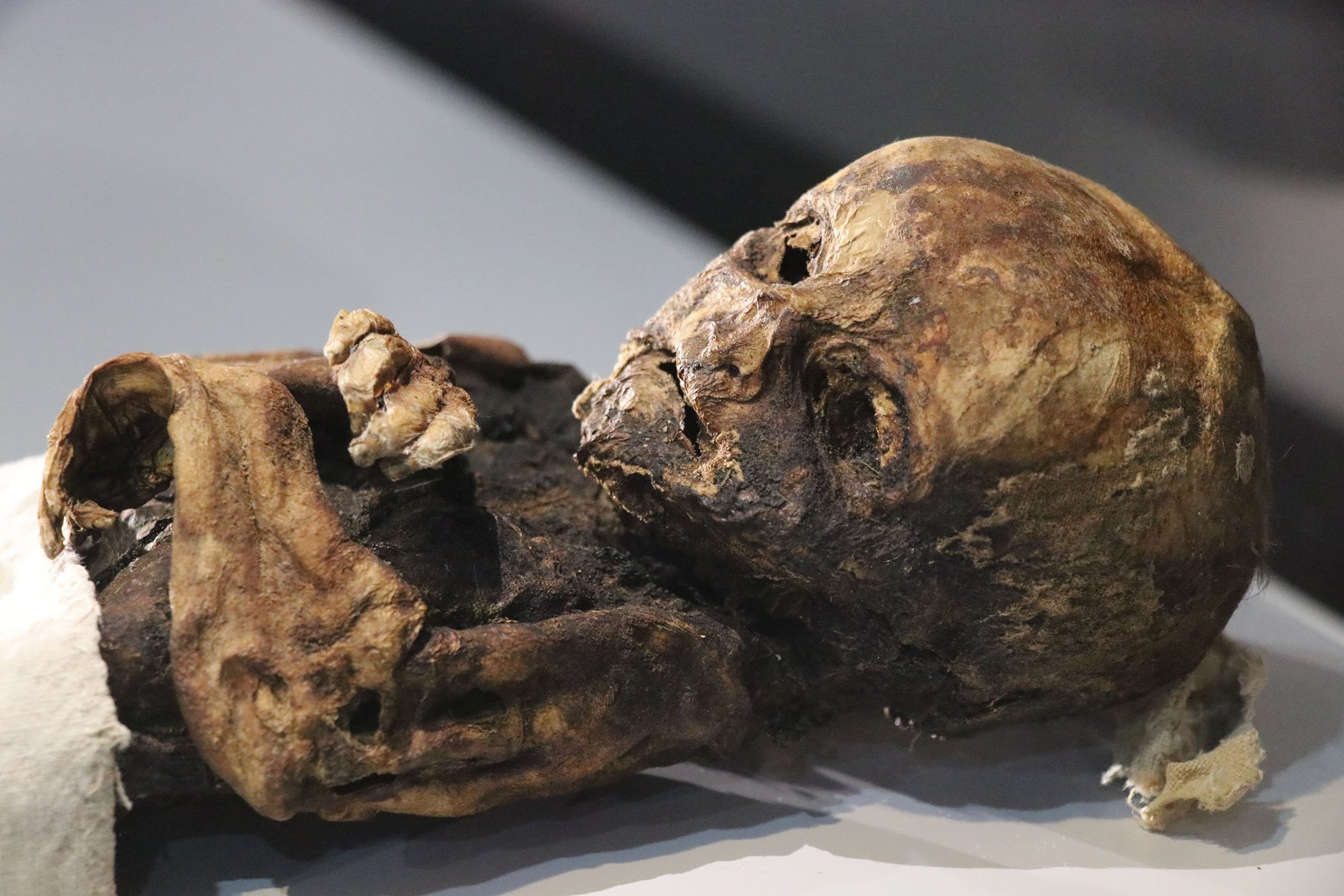 Cats and Babies: Thousand-year-old Mummies in Turkey's Aksaray