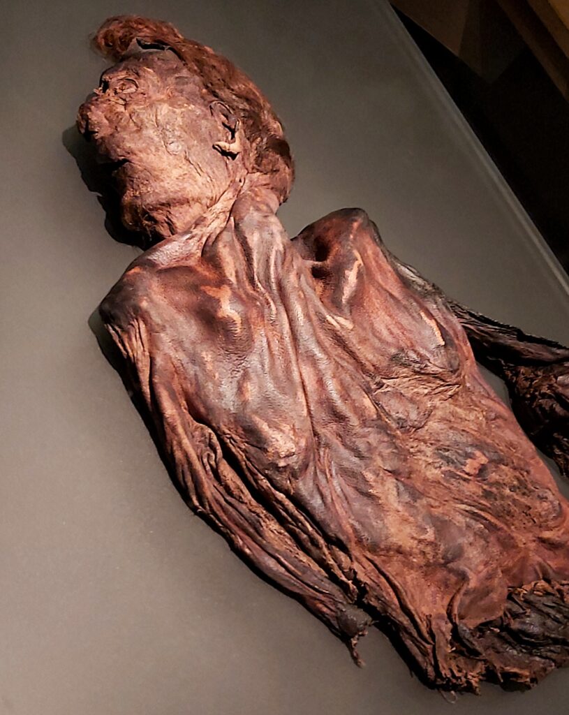 Irish Bog Bodies - Tales From The Wood