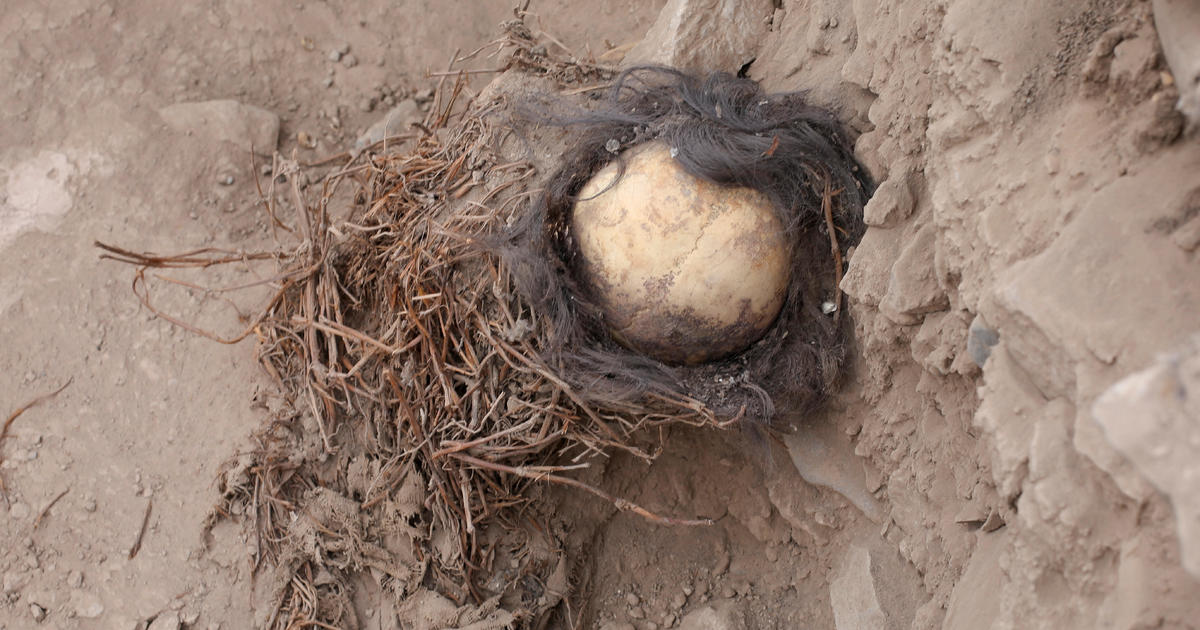 Archaeologists discover mummies of children that may be at least 1,000 years old – and their skulls still had hair on them - CBS News