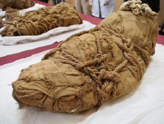Six mummified children found in a grave in Peru were likely sacrificed to accompany a dead nobleman to the afterlife 1,200 years ago, archaeologists believe