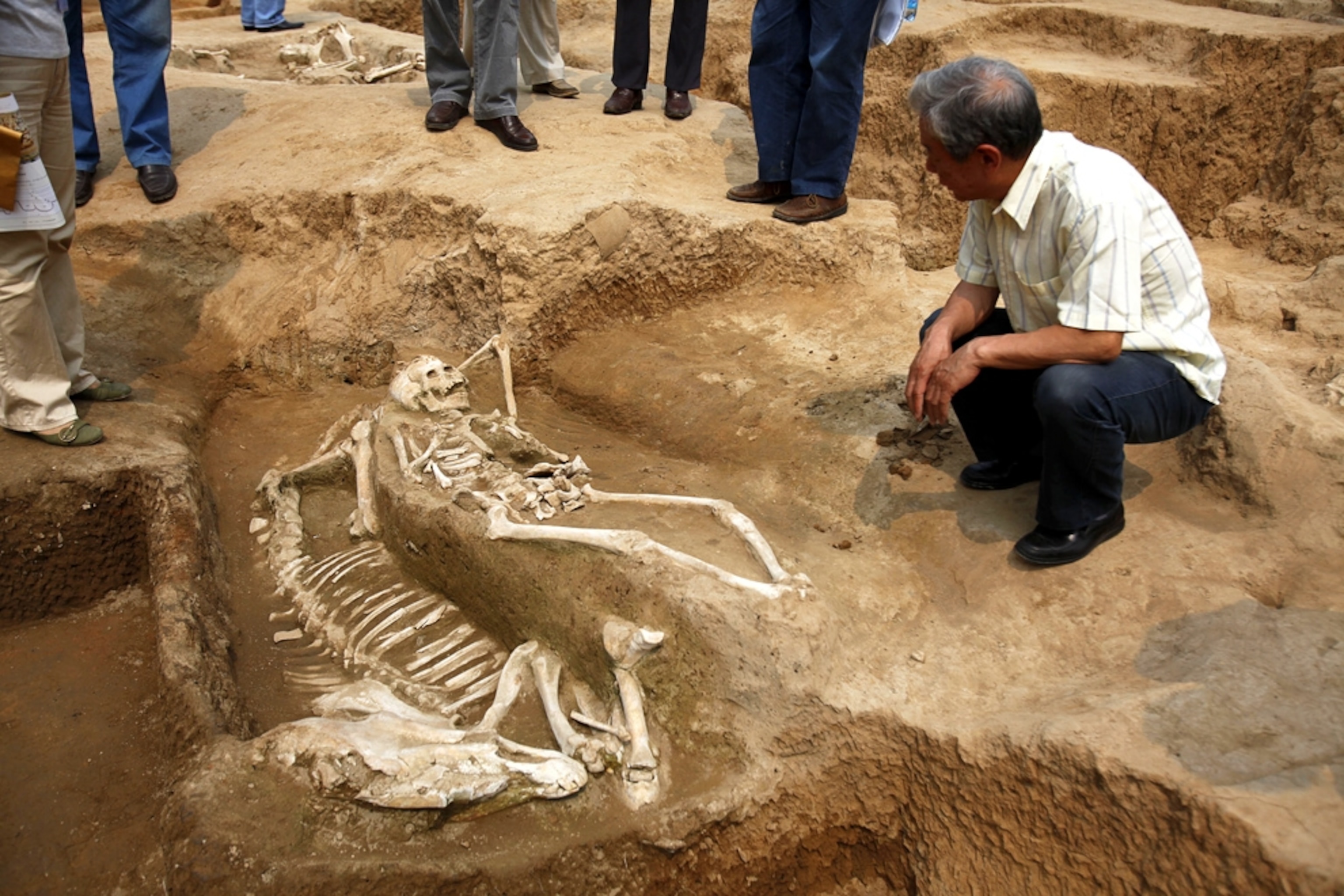 animal and human sacrifice skeletons from ancient China