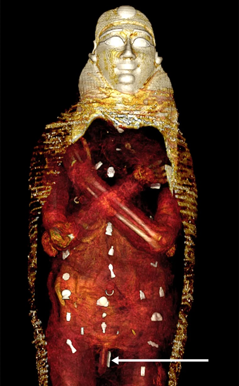 Egypt's golden boy mummy is 'digitally unwrapped' as scans reveal ancient secrets