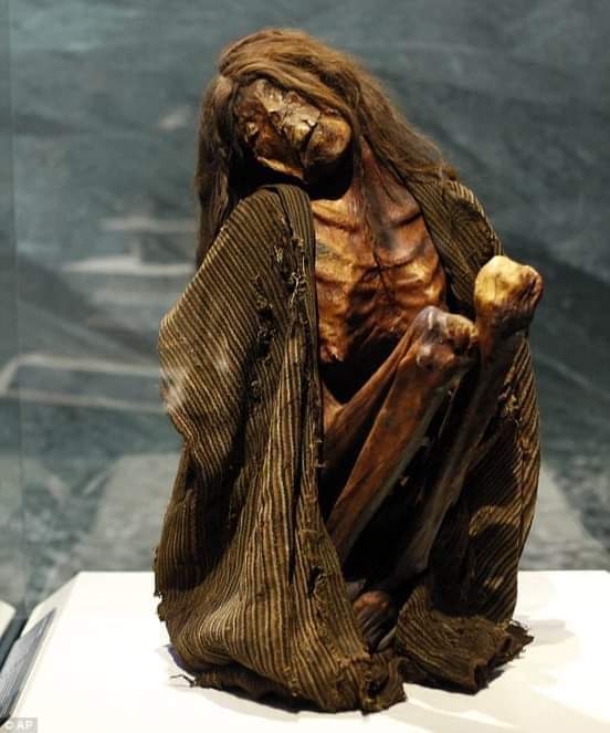 A adult female mummy, Pre- Columbian before 1400 AD. She has tattoos on each breast and one on her face.Mummies of the World Exhibition, California Science Center in Los Angeles. : r/GrimoireOfHorror