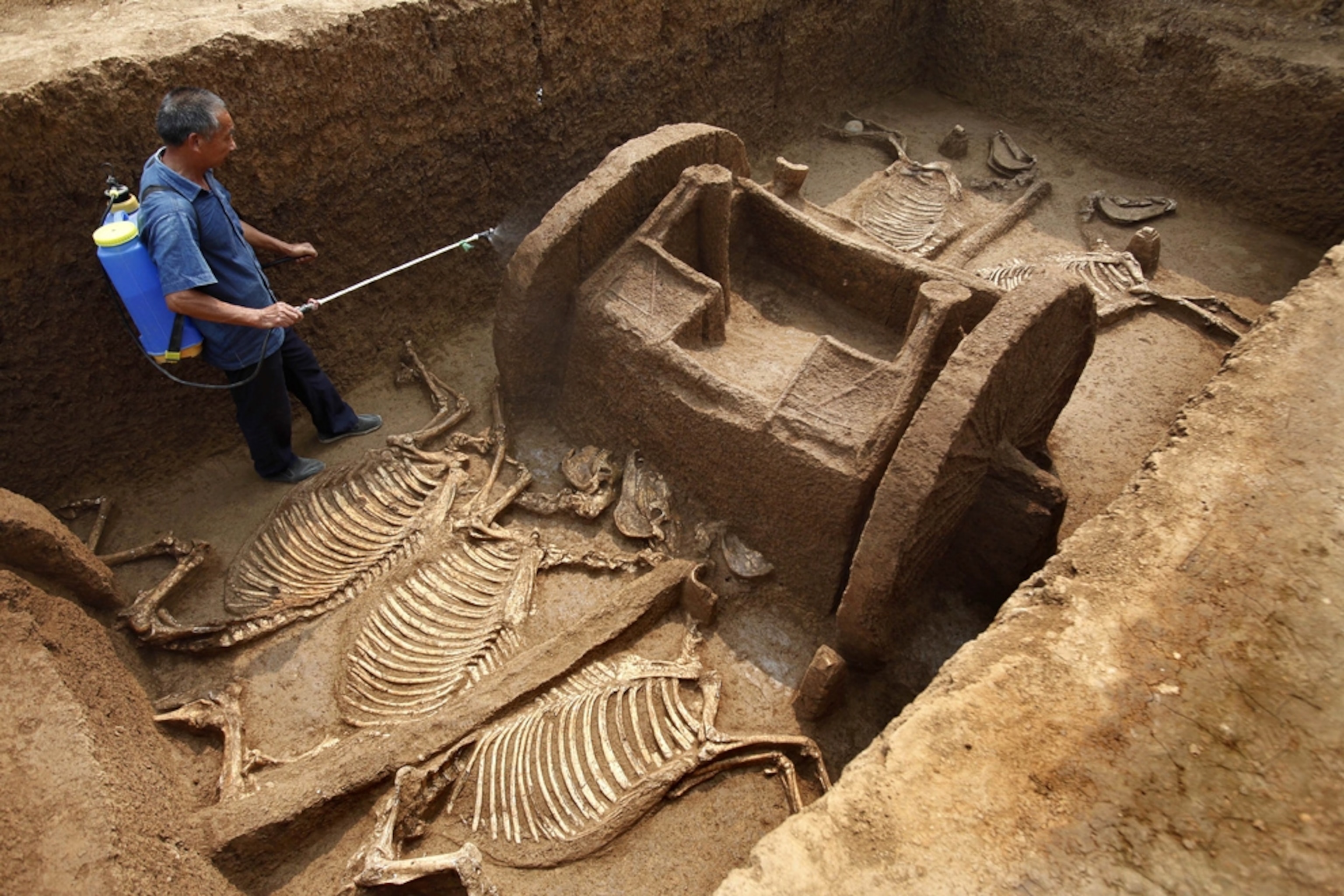 Chariot picture: horses and vehicle found in ancient tomb in China