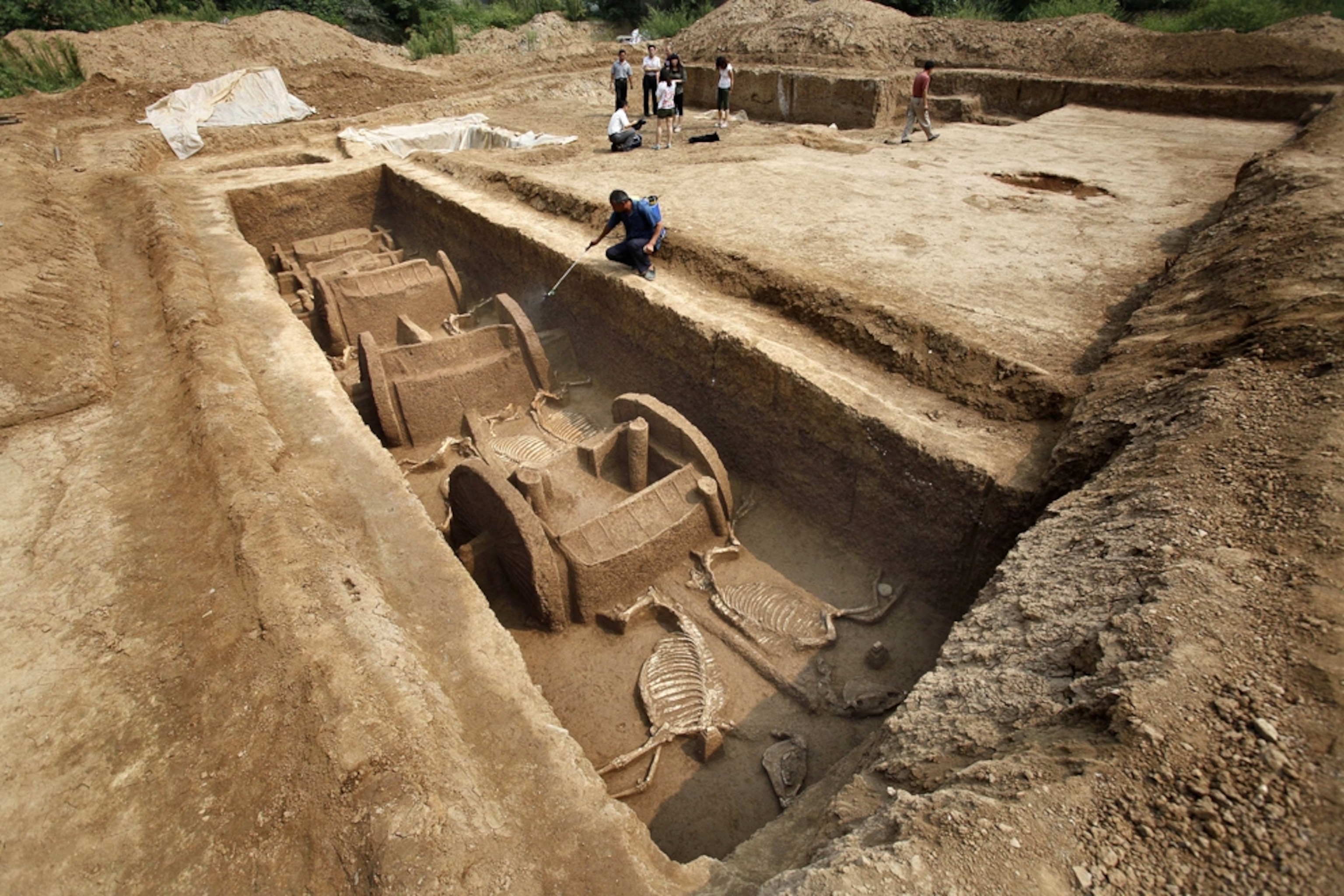 Chariot picture: horses and vehicles found in ancient tomb in China