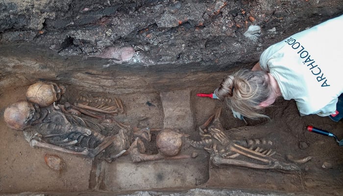 Experts discover potentially largest mass grave in Europe