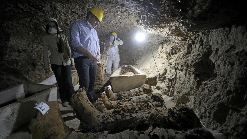 Mummies and papyrus among treasures found in Egypt's newest ancient  Greco-Roman tomb - ABC News