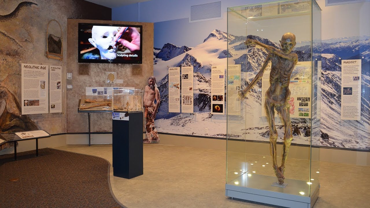 Museum Tour: Ötzi The Iceman, 41% OFF | brunofuga.adv.br