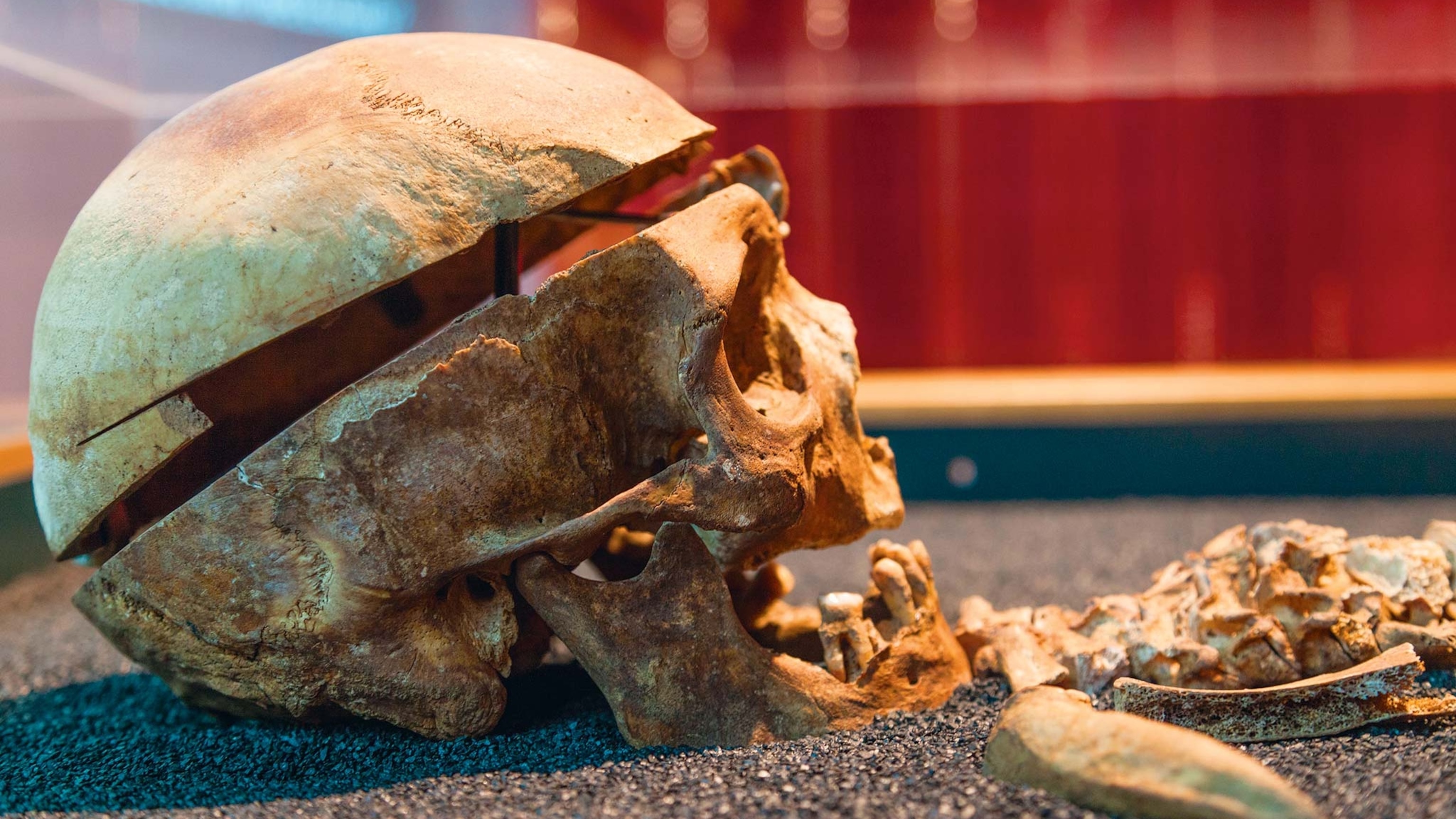 How bodies tell stories centuries after death