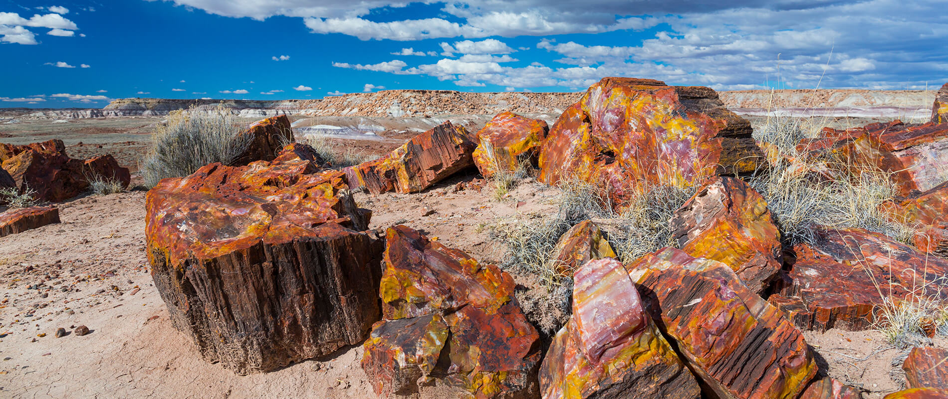MyBestPlace - The Petrified Forest in Arizona, a masterpiece of nature in the heart of America