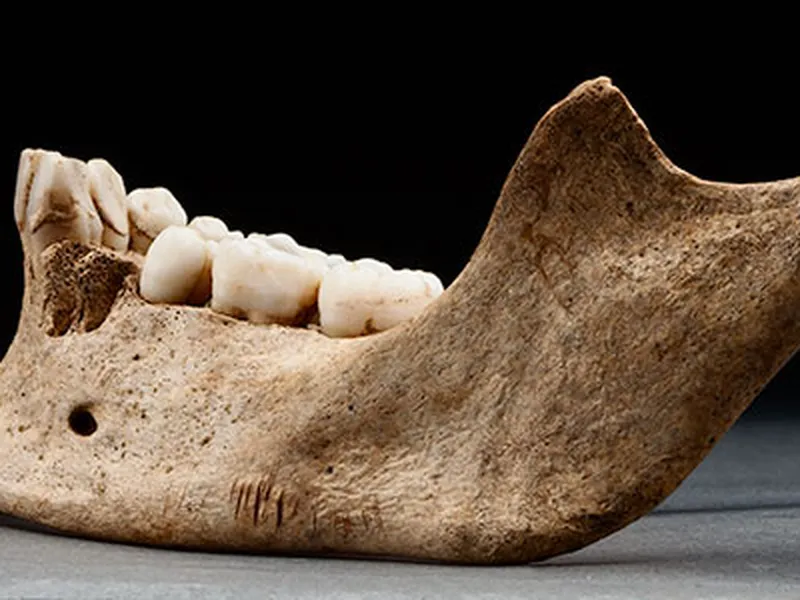 Starving Settlers in Jamestown Colony Resorted to Cannibalism | Smithsonian