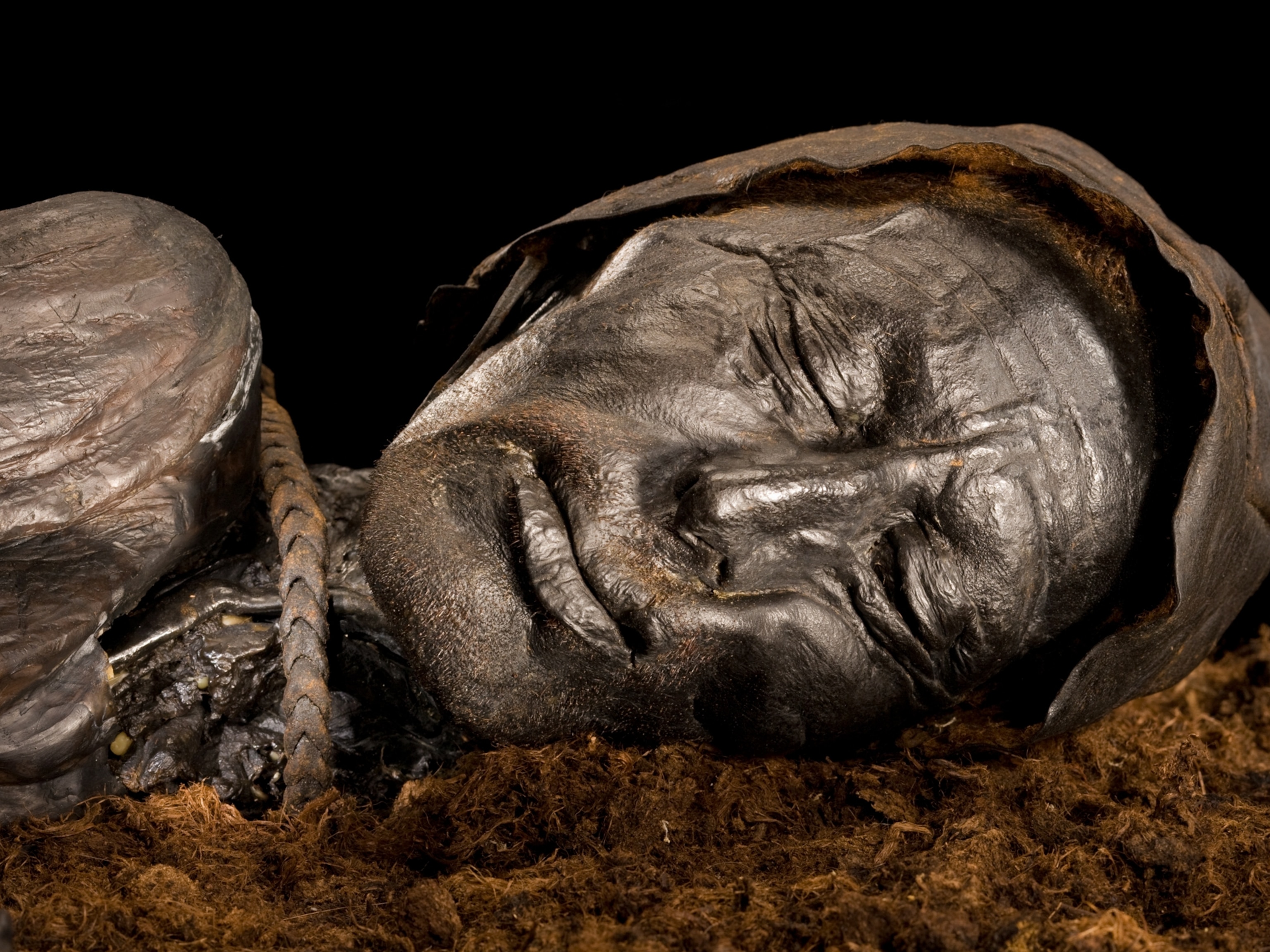 Last meal of sacrificial bog body was surprisingly unsurprising, researchers say