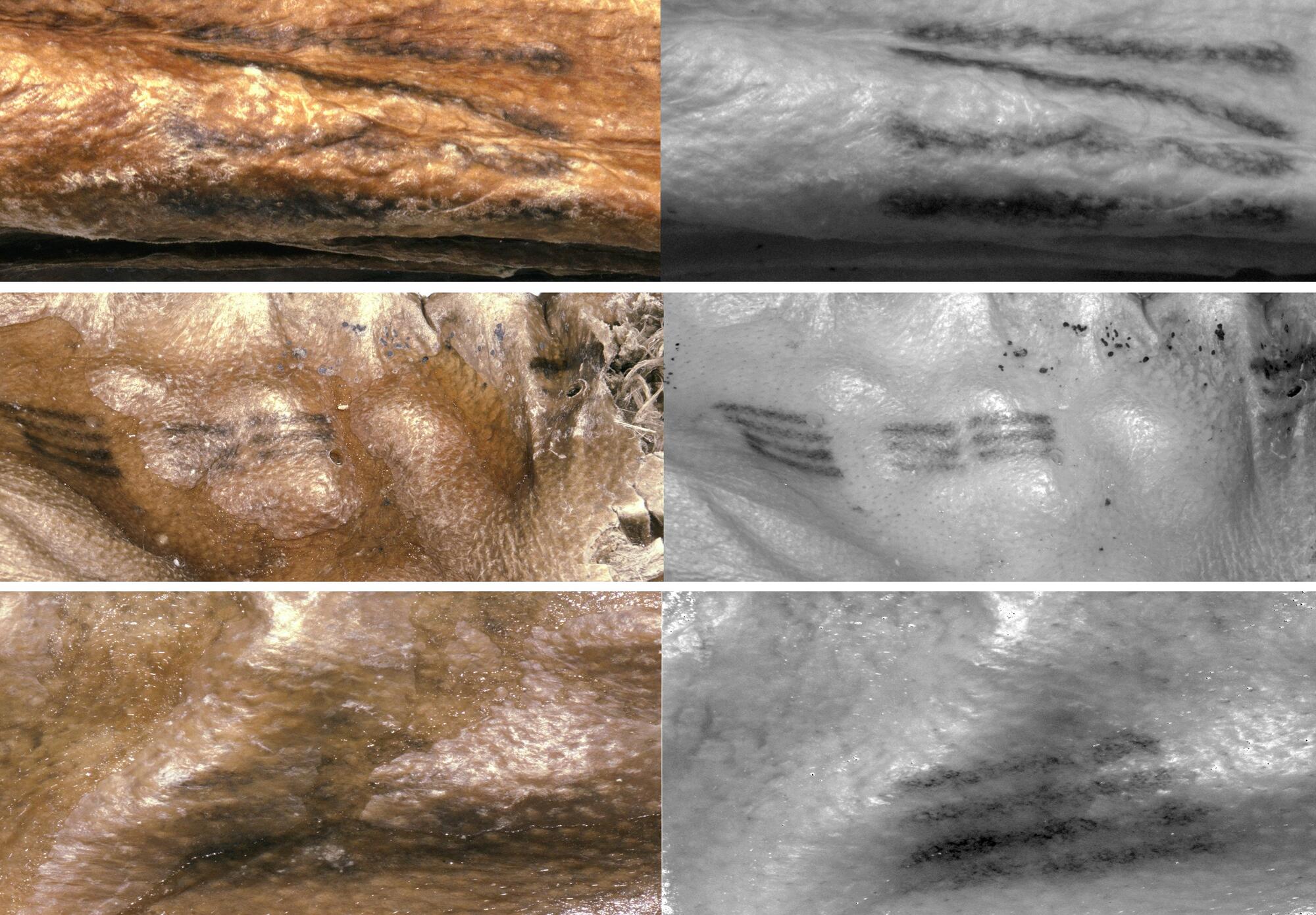Ptmvikctwvg2jhdjosgb7pjekq - ötzi the iceman's tattoos: what the oldest tattoos ever discovered meant for our copper age ancestors