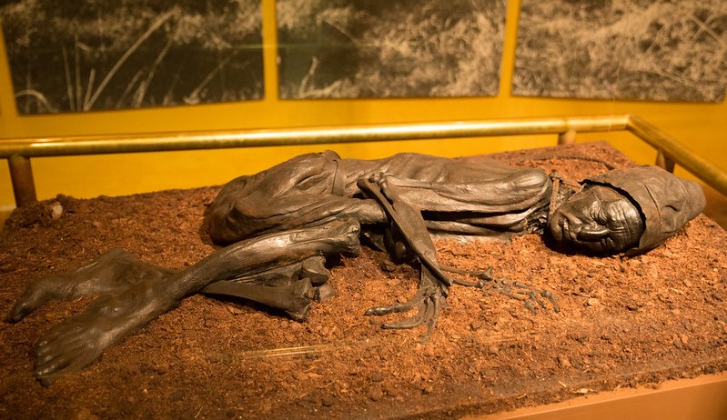 Tollund Man | Iron Age relic | Too Much Brudders blog