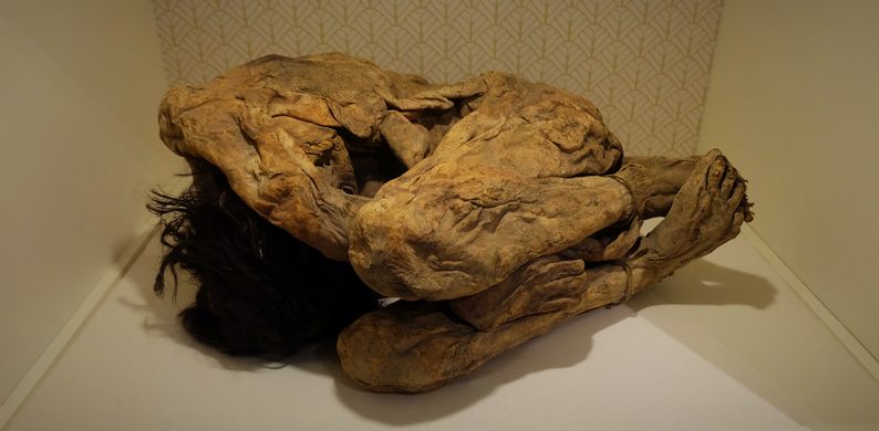 Lemon Grove Mummies – San Diego, California - Atlas Obscura
