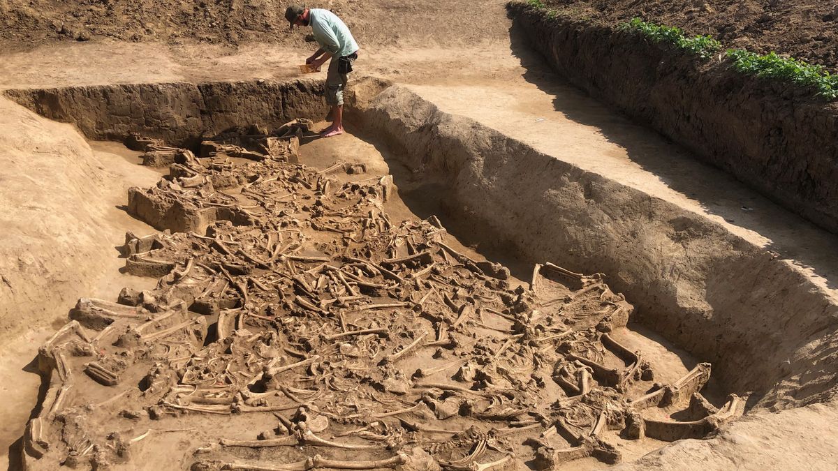 7,000-year-old mass grave in Slovakia may hold human sacrifice victims | Live Science