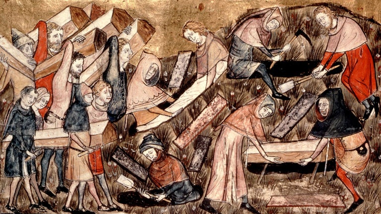 Black Death - Causes, Symptoms & Impact | HISTORY