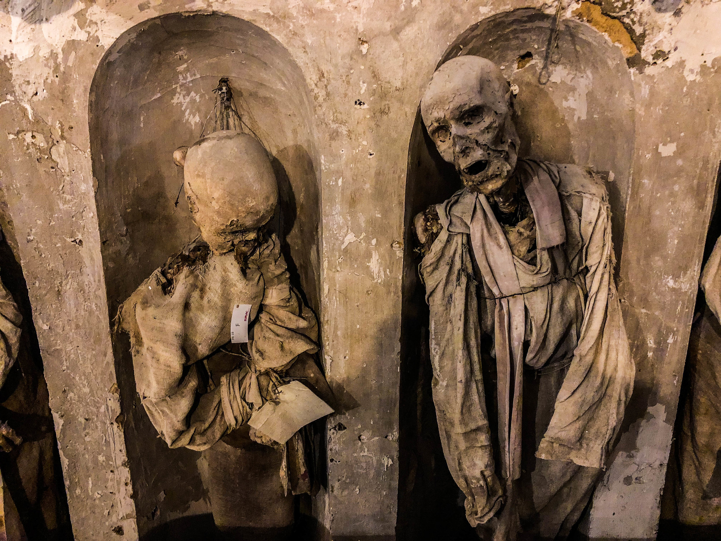 Peter's Nightmare: Palermo's Capuchin Catacombs | Peter's Big Adventure