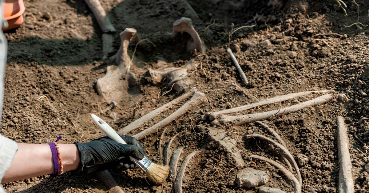 Excavating ancient human skeleton, representational image. Source: Microgen / Adobe Stock.