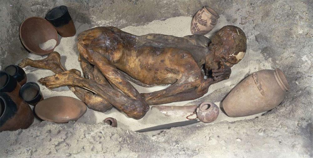 Virtual autopsy: discover how the ancient Egyptian Gebelein Man died | British Museum