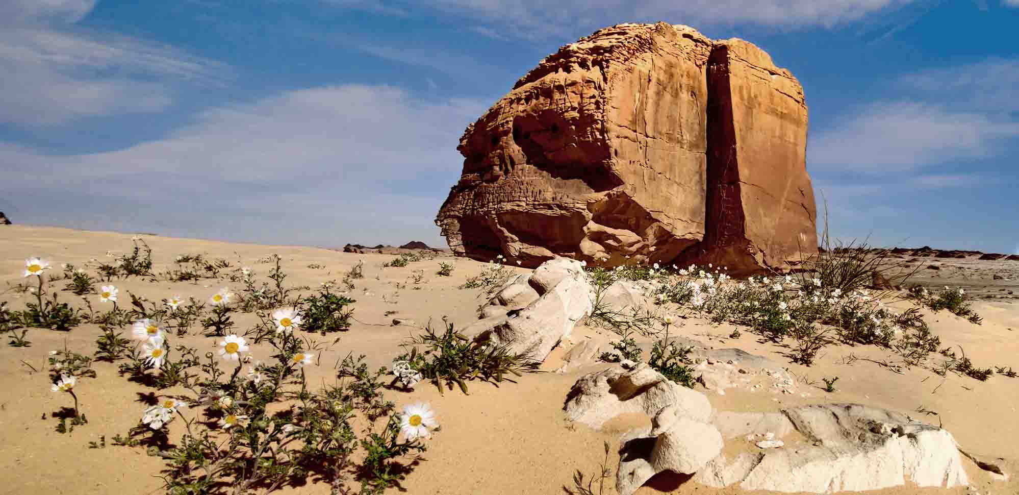 Giant Rock With Laser-Perfect Slice in Saudi Desert Leaves Scientists  Baffled—Some Say 'It's Aliens' | The Epoch Times