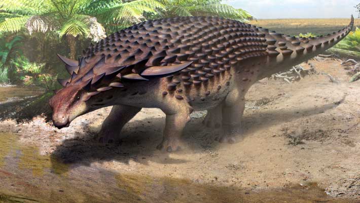 Meet Borealopelta markmitchelli, 'Best-Preserved Armored Dinosaur' |  Paleontology | Sci-News.com