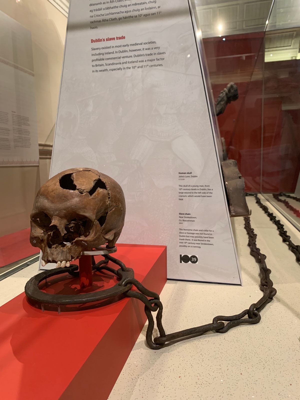 Death on Display: The Dead in the National Museum of Ireland: Archaeology
