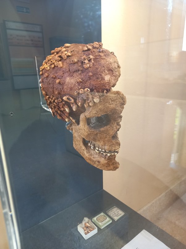 The 'Lady of Caviglione' is one of the most beautiful artifacts in the  Museo della Preistoria dei Balzi Rossi, and was found at the Caviglione  Cave (Red Cliffs Cliff, Ventimiglia). - Wonders