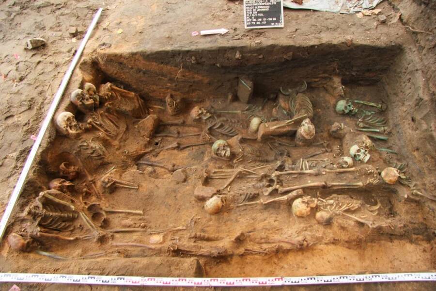 Mass Grave With Over 1,000 Skeletons Unearthed In Nuremberg