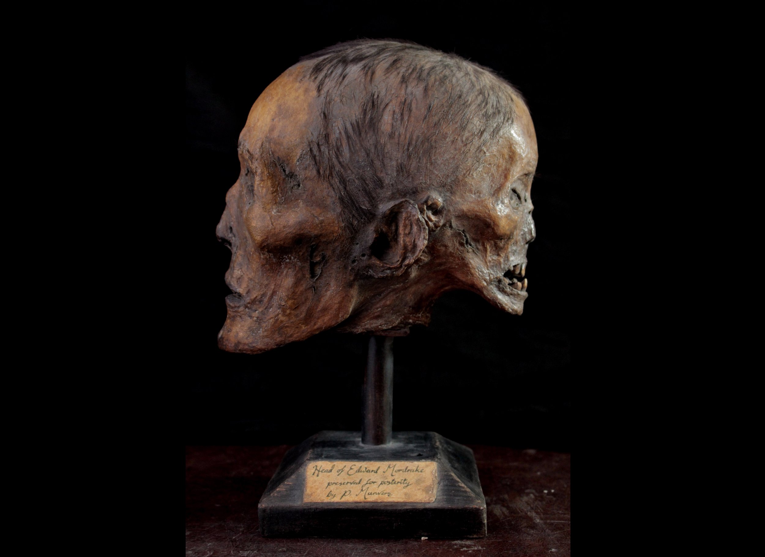 Edward Mordrake's Mummified Head Photo Isn't Real, Two-Faced Skull Created  by Artist