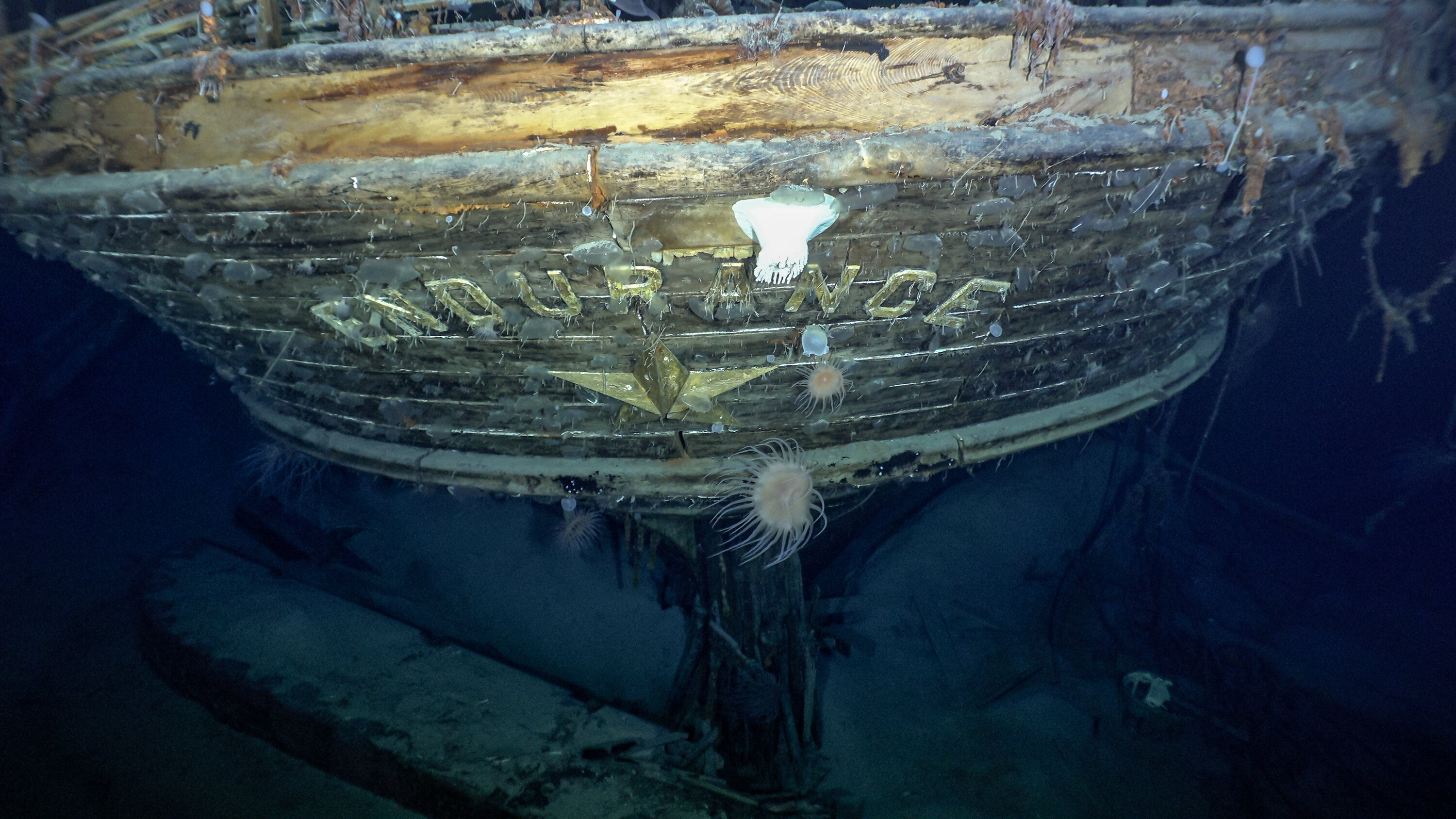 Endurance, Ernest Shackleton's Ship, Lost in 1915, Is Found in Antarctica - The New York Times