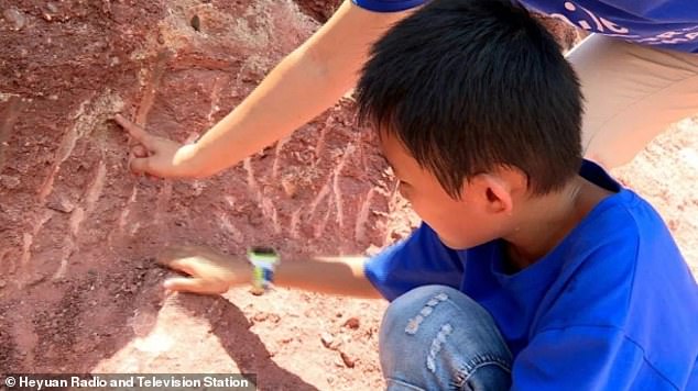 Science-loving boy, 10, discovers a nest of 11 dinosaur eggs while playing | Daily Mail Online