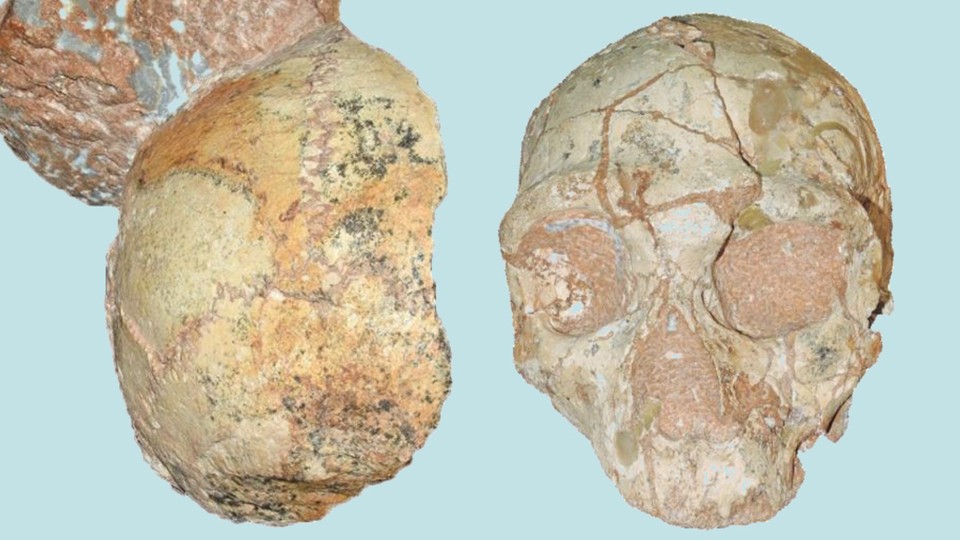 Apidima 1 Is the Oldest Human Fossil Outside Africa - The Atlantic