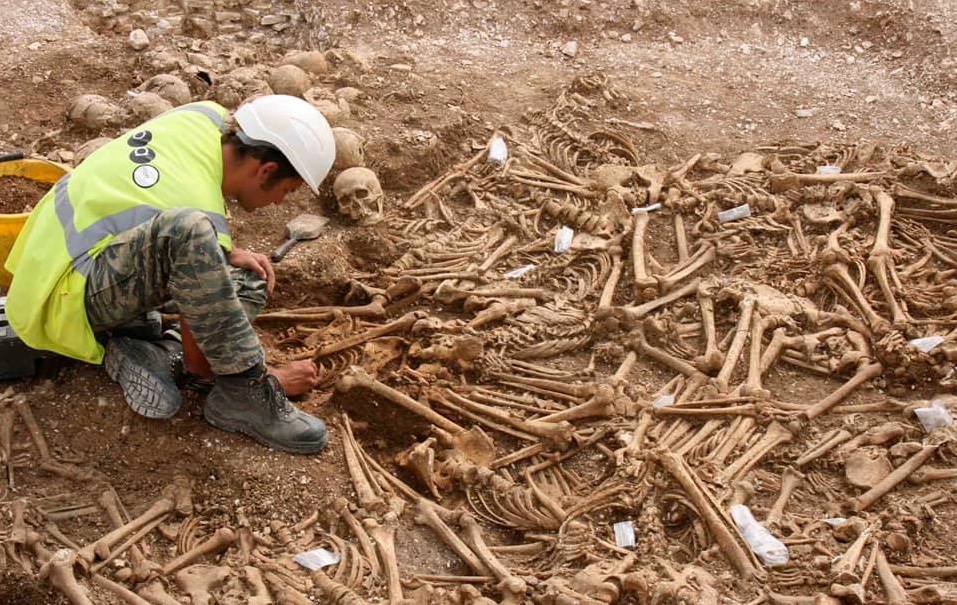 Explore the Viking Burial Secrets of South Dorset