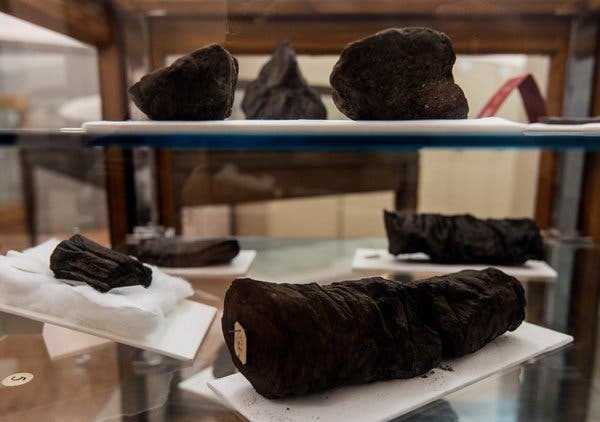 Unlocking Scrolls Preserved in Eruption of Vesuvius, Using X-Ray Beams - The New York Times