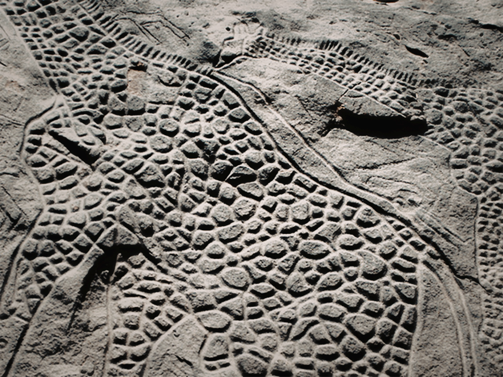 The World's Largest Rock Art Petroglyph - Dabous Giraffe Carvings in Niger Africa