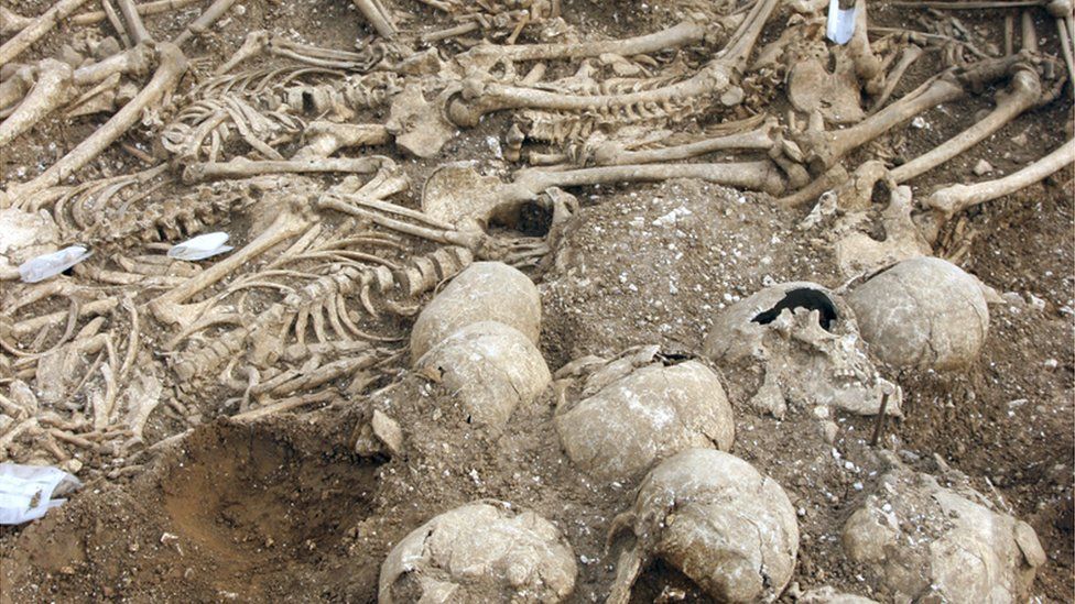 Dorset's Viking mass grave skeletons on display in London - BBC News