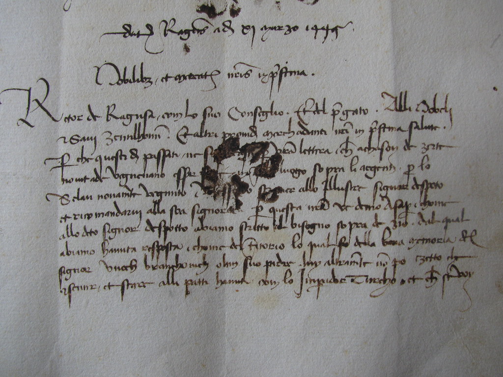 Curious Cat Walks Over Medieval Manuscript, 52% OFF