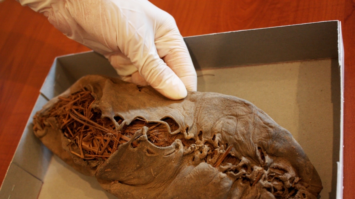 Sole Survivor: World's Oldest Leather Shoe Found In Armenian Cave