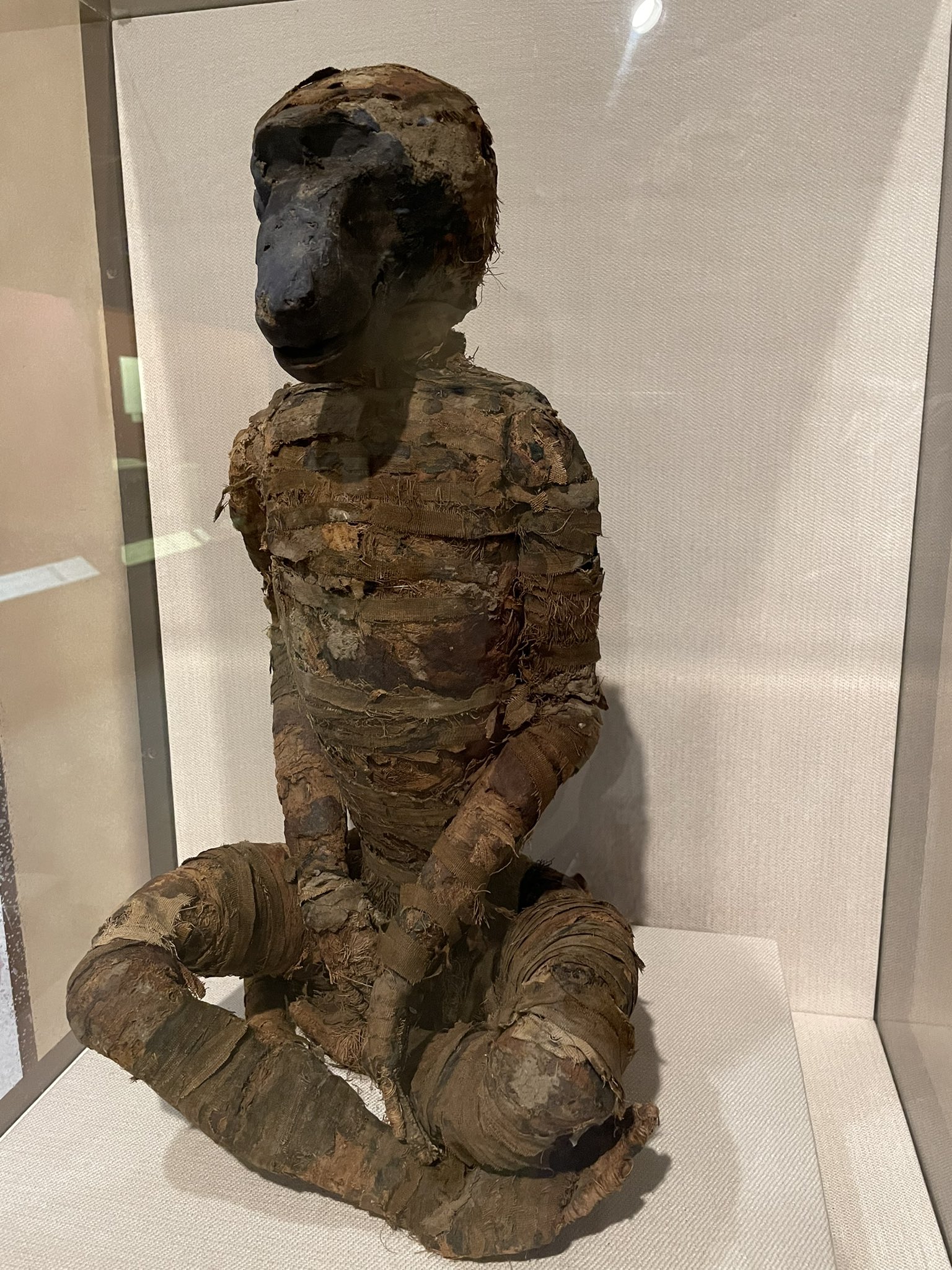 Elisabeth Bik on X: "#MummyForensics at the @EgyptianMuseum Fraud is of all  times. During the Ptolemaic period (roughly 200 BC), fake mummies were  often sold to pelgrims. This mummy of a baboon