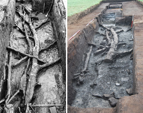 Return to Star Carr: Discovering the true size of a Mesolithic settlement - Current Archaeology