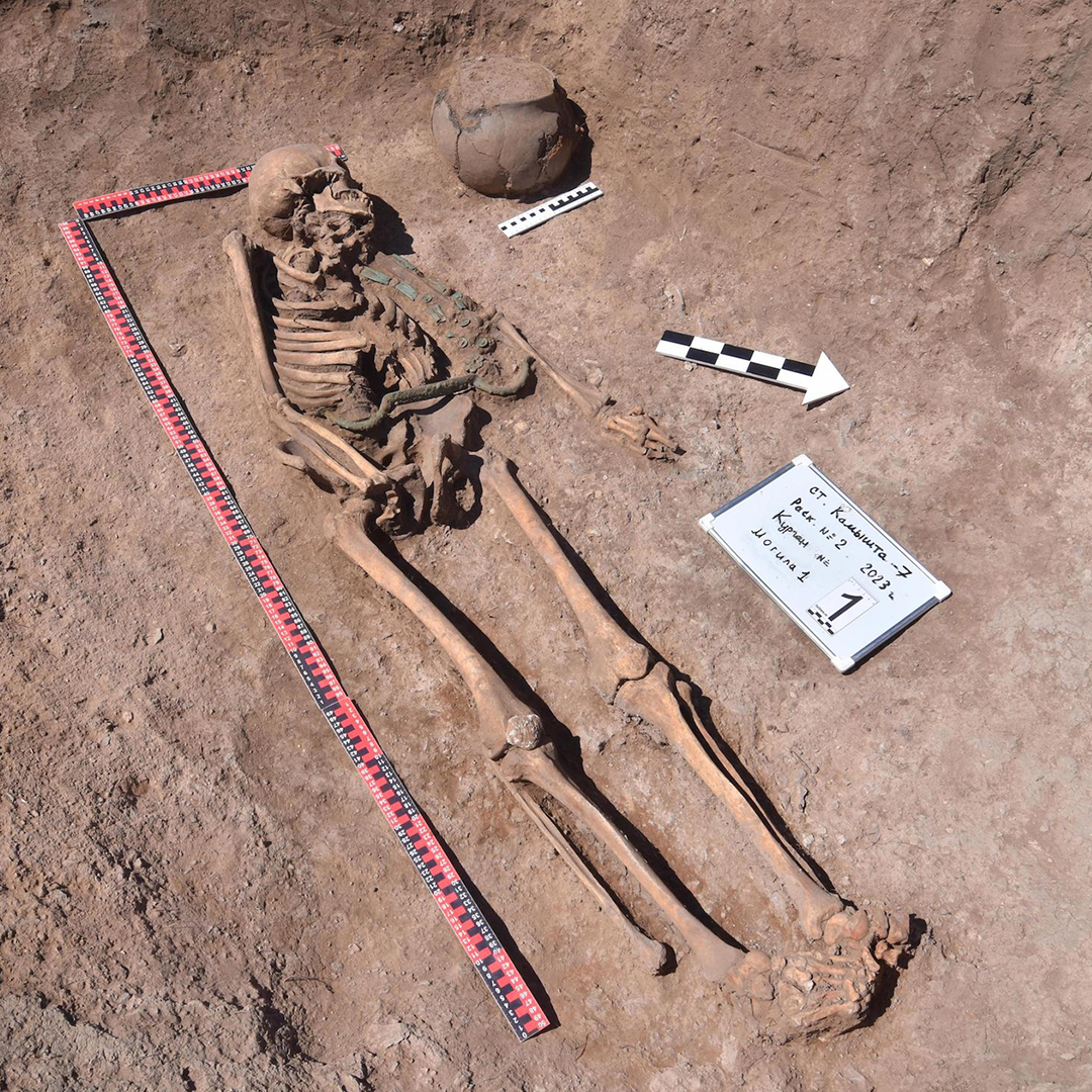 3,000-Year-Old "Charioteer" Skeleton With Special Belt Discovered In Siberia  | IFLScience
