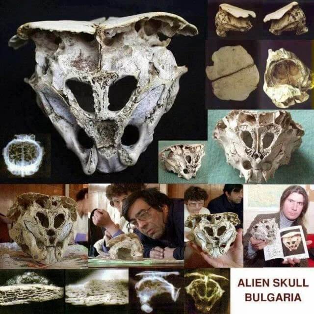 Rhodope Skull: Evidence Of Extraterrestrials On Earth?