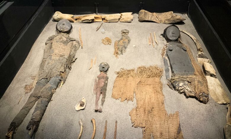 In Chile, the world's oldest mummies seek new home - La Prensa Latina Media