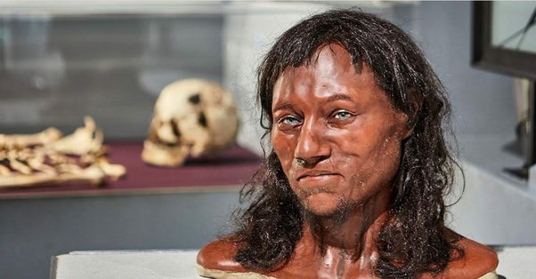 On 1903 The Cheddar Man 10,000 years old was found in England's Gough's  Cave. It's the older human skeleton ever found in whole part of Britain. -  Wonders of the Past 🏺✨ - Quora