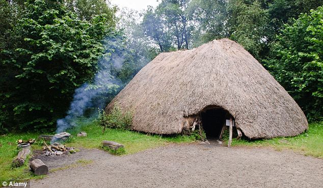 A depiction of a stone-age house in Ireland. The original building at Star Carr would have looked very similar to this, with thatched roof and circular shape