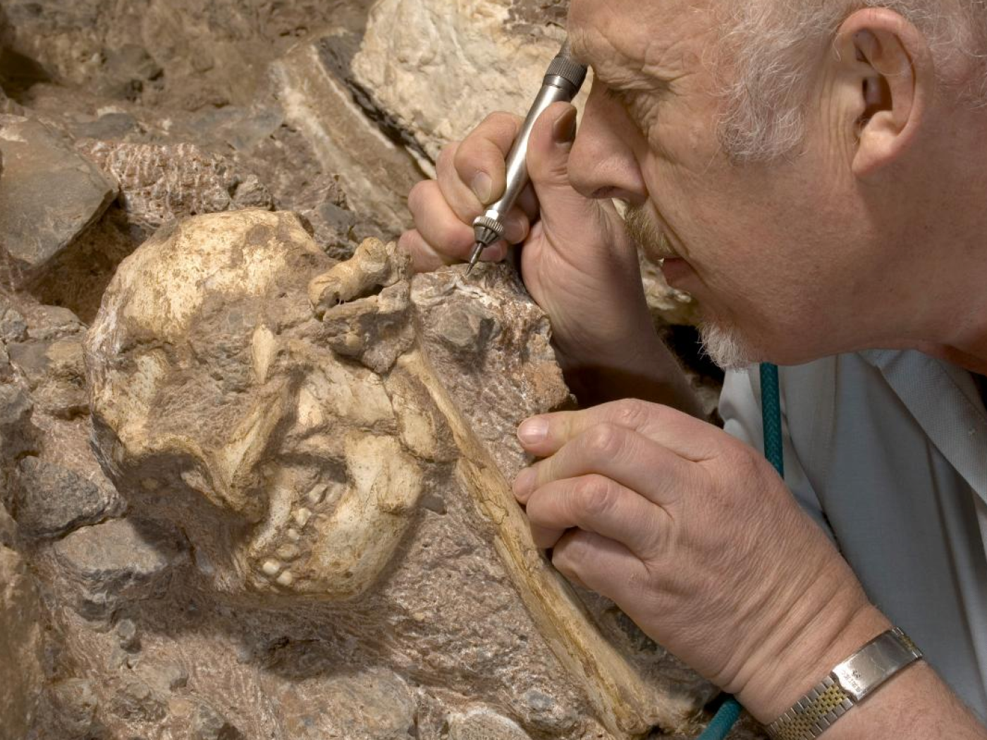 Scientists reveal the most complete skeleton of a 3.6 million year old human ancestor ever found