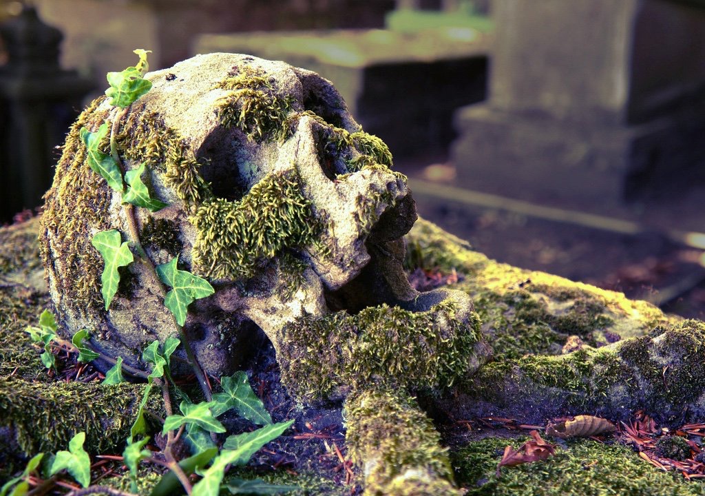 This-beautiful-gravestone-Brugge-General-Cemetery-Post-description-lifted-from-here-https-twitter-com-drlindseyfitz-status-11